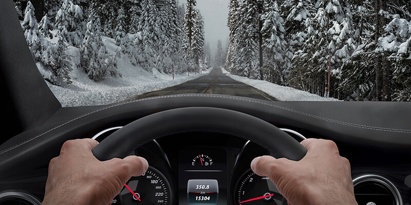 Driving Through Snow Forest
